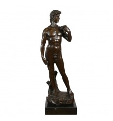 Bronze statue David af Michelangelo