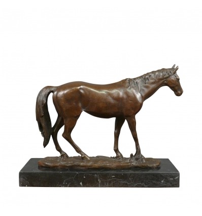 Scultura in bronzo di un cavallo - cavallo Statue - 
